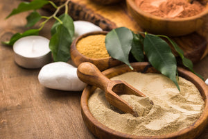 Balancing Act: The Role of Ayurvedic Powders in Modern Wellness