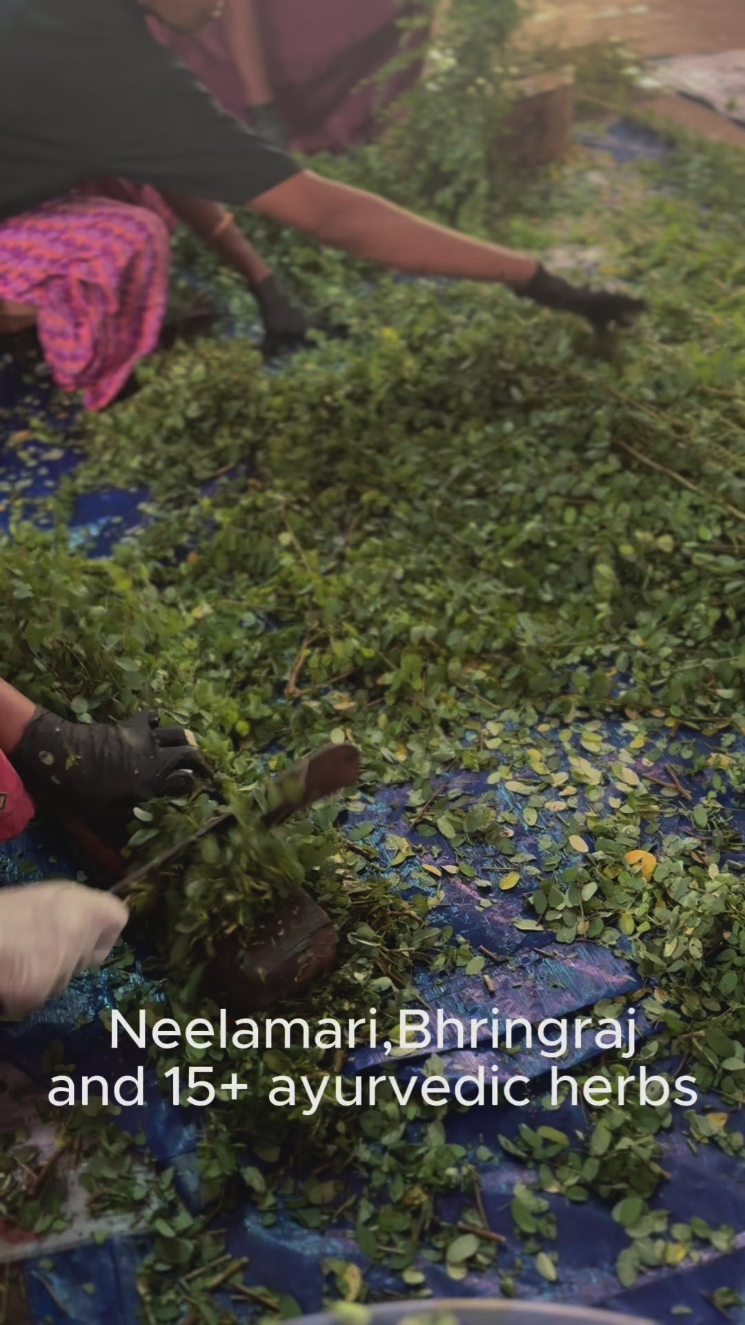 Premium Neelibringadi Coconut Oil